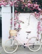 Fullwidth Type Post with Inline Gallery